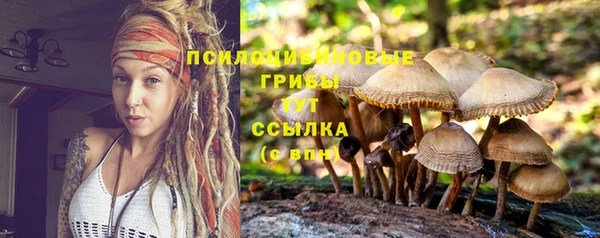винт Магадан