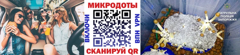 Купить где  Лодейное Поле  Галлюциногенные грибы GOLDEN TEACHER 