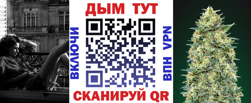 Купить где  Лодейное Поле  Марихуана SATIVA & INDICA 